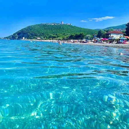 Sakis