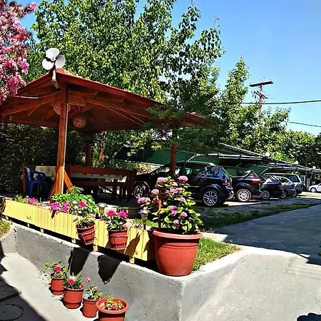 Sakis Capsule hotel Paralia Skotinis